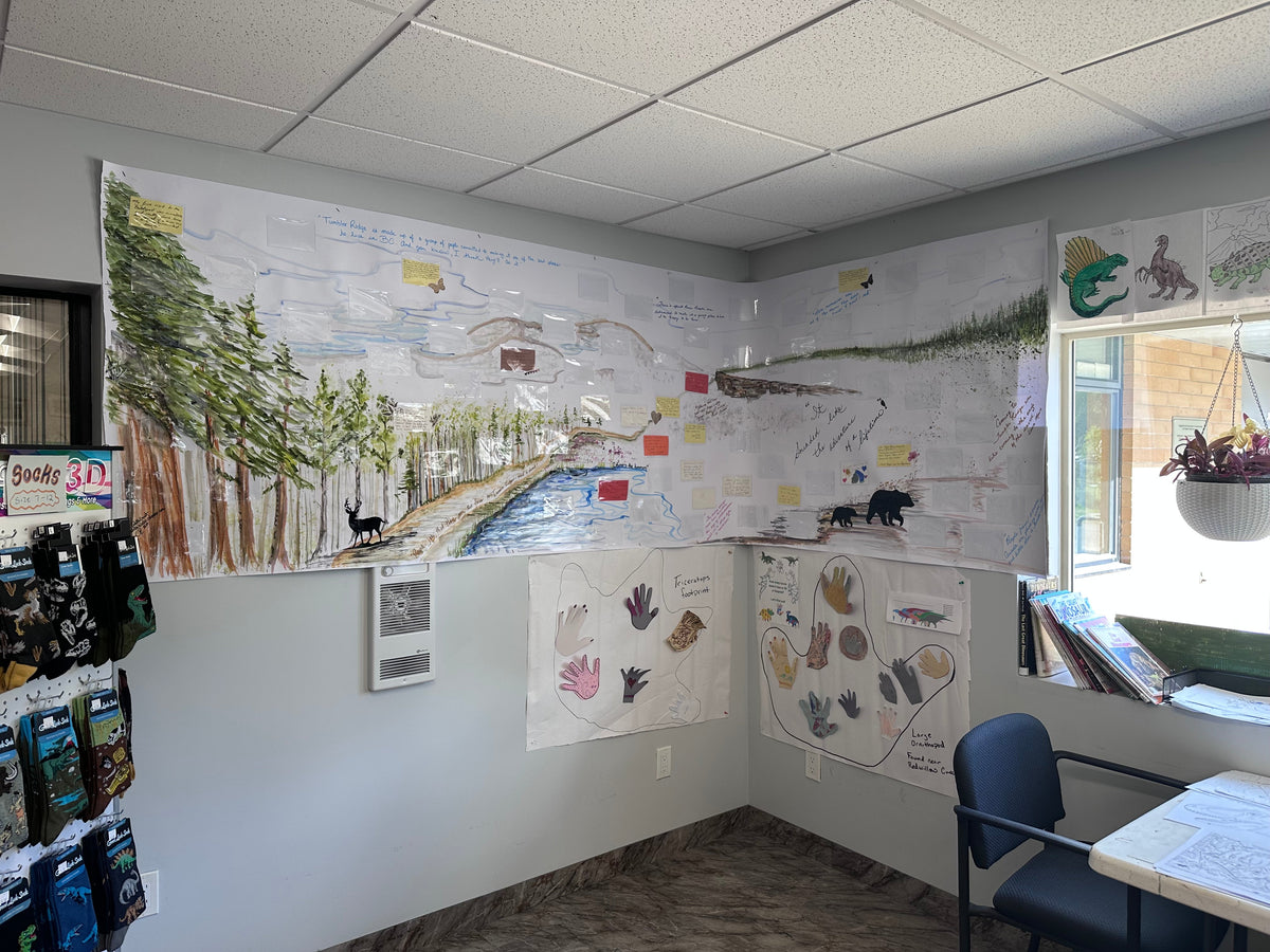 Go North, Reporter! and Our memories of Tumbler Ridge