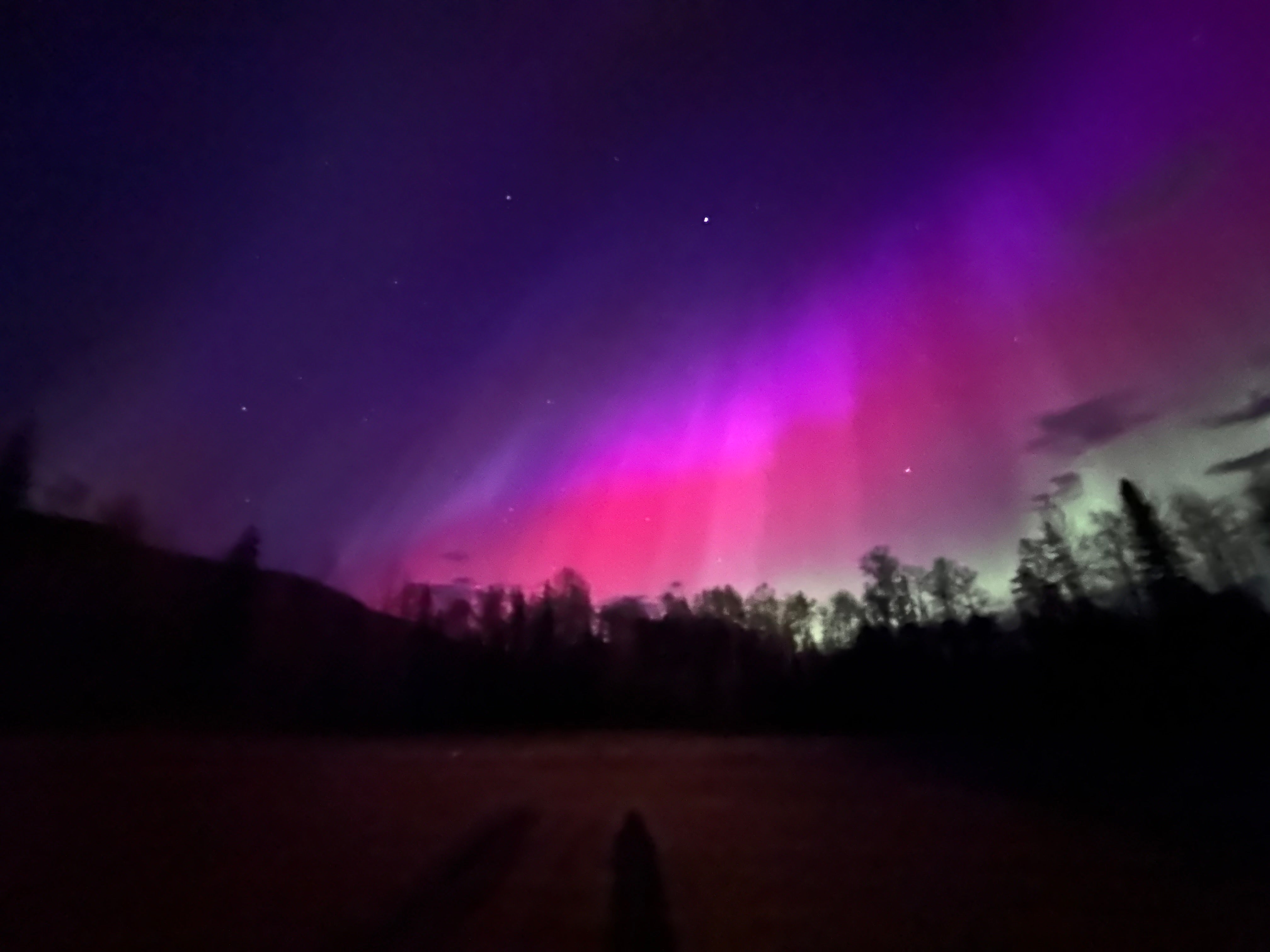 Aurora borealis comprised of a range of colours from indigo blue to purple, magenta, red, green. Silhouettes of trees are visible, as are a few scant faded purple clouds. Bright pinpricks of stars are visible in the night sky.